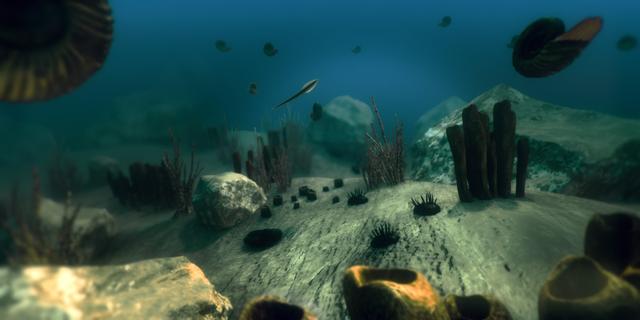 《First Life》VR纪录片 《First Life》VR纪录片